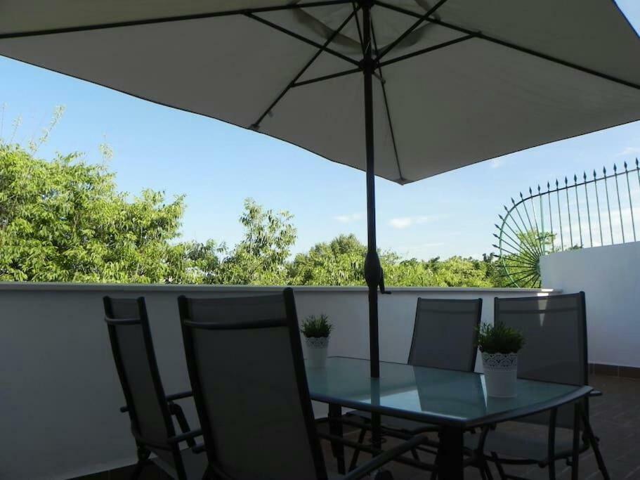Atico Con Terraza En Alameda De Hercules Seville Exterior photo